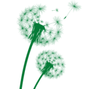 weeds-icon-rev1